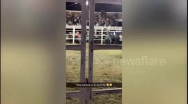 Volunteer spectator rammed by bull at a Christmas bull riding show