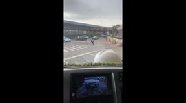 Dog instantly hides at owner's signal to avoid traffic police in Yunnan
