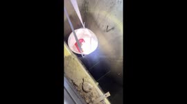 Kitten rescued from sewer using a bucket in Ningxia, China