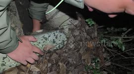 Man digs to rescue puppy trapped in sewer in Jiangsu, China