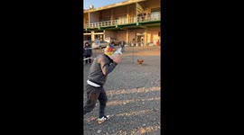 Man catches two roosters wearing helmet in Dalian, China