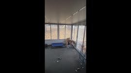 Exclusive- Heroic Great Dane pup saves struggling bird in viral TikTok moment