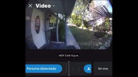 Exclusive- Snake or charger? Hilarious Ring cam capture leaves TikTok in stitches