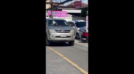 Pigeon flies away with packet of food nabbed from shop