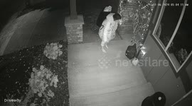 Security Camera Catches Apparent Theft of Halloween Decorations