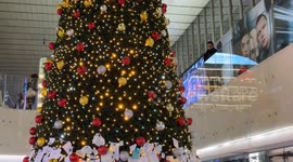 A man looks down on the decorated Christmas tree set up in Termini station during the Christmas season in Rome.