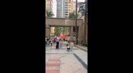 Loyal dog greets child after school in China