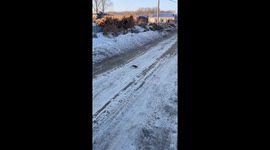 Winter's freeze: Unmoving rat in Heilongjiang visualizes extreme cold