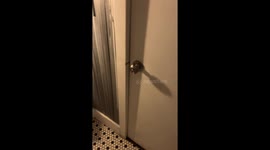 Exclusive- Upside-down bathroom leaves musician and TikTok in awe
