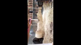 Incredible fusion of 3D printing and wood carving developed in China