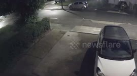 Man caught beating XL bully dog and whipping it with metal lead