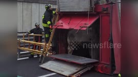 Italy: Truck Carrying Cattle Overturns Near Trieste, Animals Loose on SS22