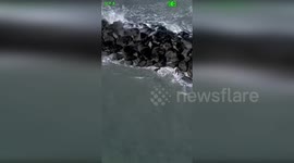 US: Coast Guard Airlifts Stranded Mariner From St. Lucie Inlet Jetty