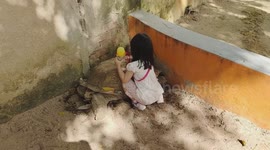 Caring Adorable Toddler Cleaning Up Sand On Tortoise's Shell