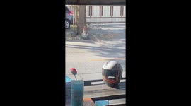 Spot the danger! Cobra emerges on road before slithering towards shop sparking panic