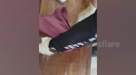 Brazilian woman busted smuggling drugs into prison in her knickers