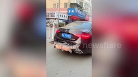 Driver parades 60lb carp on the back of his Mercedes around city