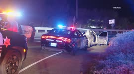 US, Los Angeles: Newbury Park Dog Escapes Pursuit Suspect Vehicle After Crash