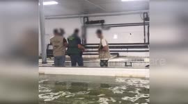 Spain: Massive International Operation Seizes 30 Tons of Contaminated Shellfish, 62 Arrested Across Europe