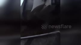 China: Driver Escapes After Truck Hangs Off Highway in Hebei