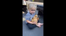 Daughter Loves Fluffy Chicken