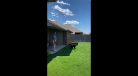 Dog Fails To Fly Over Fence Jump