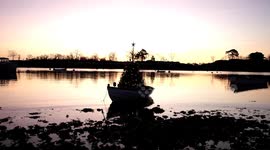 Christmas Tree Boat and Doggo Photobomb in Marblehead, Massachusetts