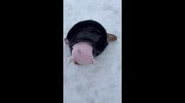 Child startles man while filming in Heilongjiang, China