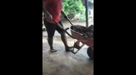 Man trips while pushing garden trolley in Lampung, Indonesia