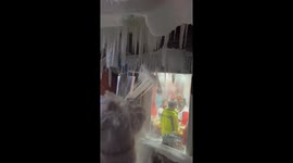 Woman startled by falling icicles and slips in Jilin, China