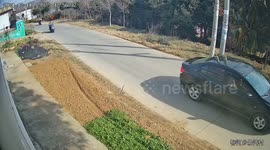 Car accident in Jiangsu Province damages trees outside author's house