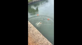 Two heroes save drowning man in Suzhou, China