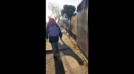 Dog skillfully climbs fence in Temuco, Chile