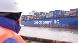 China: First direct cargo shipment from Peru's Chancay Port arrives in Shanghai