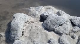 Salt on the salt lake part 1
