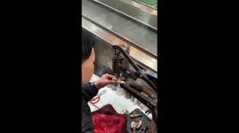 Cobbler repairs pet dog's tiny shoes on the roadside in China