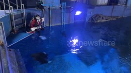 Thailand: Scuba Santa show in Bangkok, Thailand