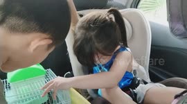 Little 3 years old girl surprised and excited when her dad bought her pair of hamster