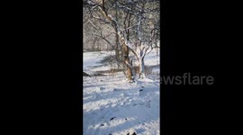 US: New York City Sees First Measurable Snow On First Day Of Winter 2