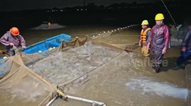 Australian expat uncovers deeper integration in Greater Bay Area