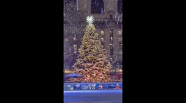 Magical Winter Scene: Snow-Covered Christmas Tree Glows in Bryant Park