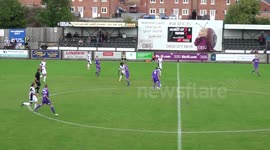 Parachutist lands on pitch during game