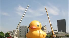 2013.09.19- Giant Rubber Duck in Kaohsiung City, Taiwan. ( Time-lapse Photography)