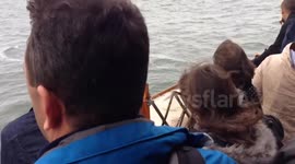Men jump out from Staten Island ferry