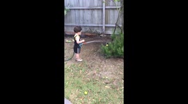 1year old hoses down the lemon tree