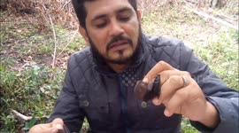 Man puts 'vampire bats' in his mouth