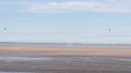 Royal Navy Black Cats display, UK National Armed Forces Day, Cleethorpes