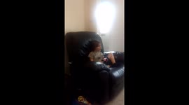 4 year old sons a huge England fan happy because he winning with England of Fifa 16