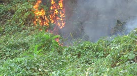 Forest fire in Thailand