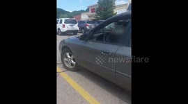 Woman confronts driver who left dog in car on hot day